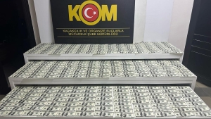 dolar