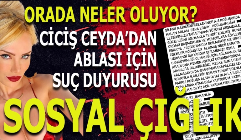 WhatsApp Image 2025-04-21 at 12.50.38