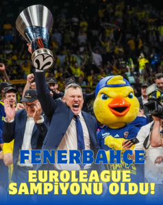 Ekran görüntüsü 2025-05-26 114210