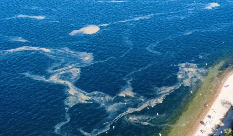 KINALIADA AÇIKLARINDA MÜSİLAJ ALARMI