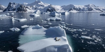 1069331750_0_45_864_531_640x0_80_0_0_12fbe9ce3c14967e739276c3064653f0