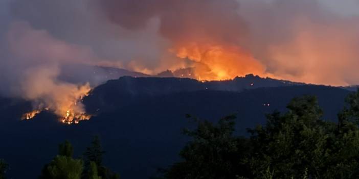 Bursa Orman Yangınında Acı Kayıp: 4 Kişi Hayatını Kaybetti