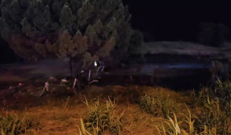 Ormanlık Alanda Havai Fişek Yaktılar: Bursa’da 4 Kişi Gözaltında