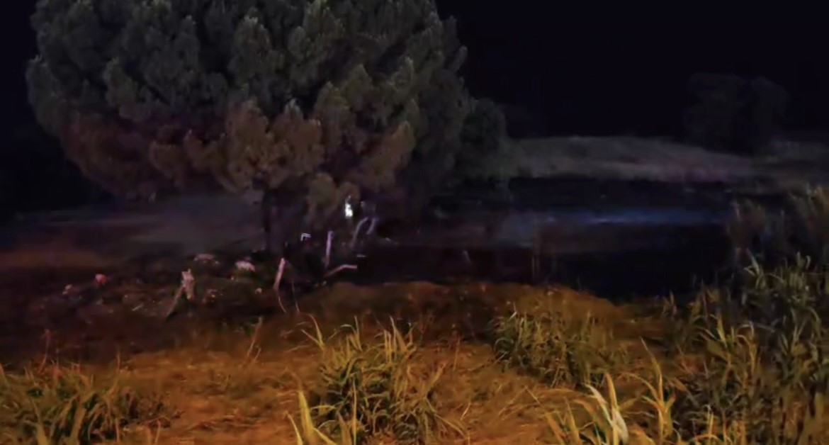 DÜĞÜNDEN ATILAN HAVAİ FİŞEK OTLUK ALANDA YANGIN ÇIKARDI, SALON BOŞALTILDI