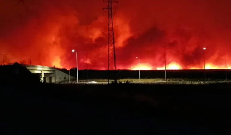 Tekirdağ’da Yangın Alarmı: Ekipler Seferber Oldu