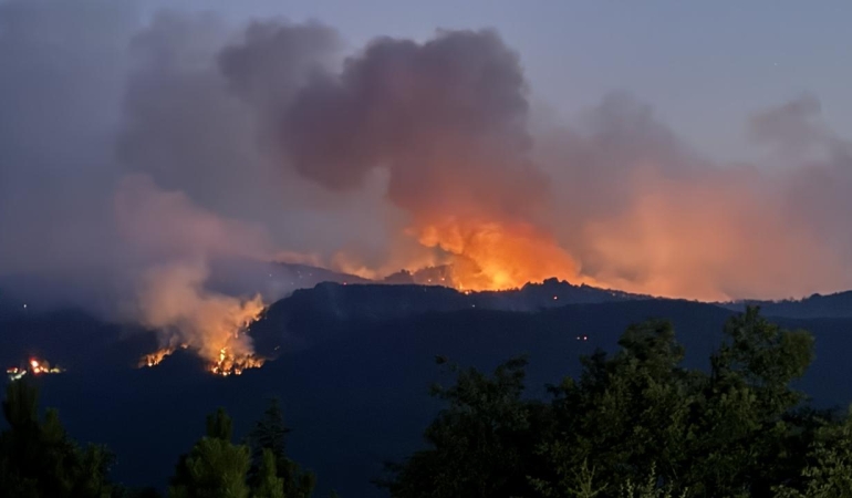 Eskişehir Orman Yangınında Hayatını Kaybeden 10 Kişinin Kimliği Belli Oldu