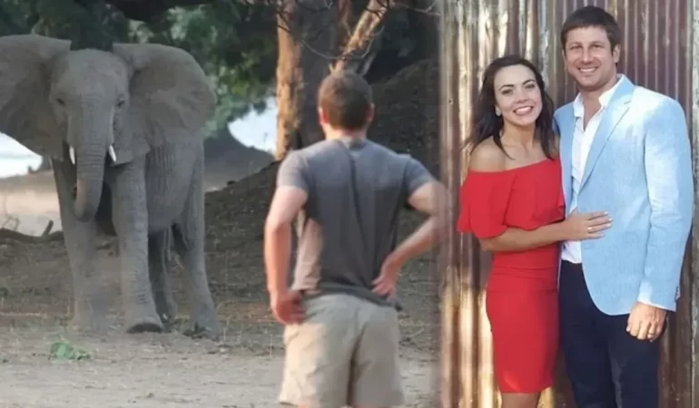 Doğaya Tutkusuyla Bilinen CEO, Fil Saldırısında Yaşamını Yitirdi