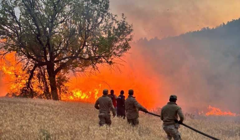 19 Günde 61 Orman Yangını: 23 Şüpheli Gözaltında
