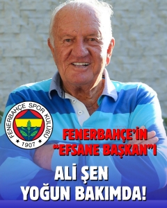 WhatsApp Image 2025-08-18 at 12.13.15