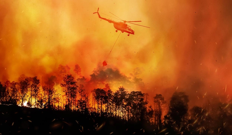 TÜRKİYE’DE ORMAN YANGINI FELAKETİ!