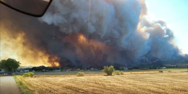 thumbs_b_c_cb8be4fa99da1ae47c3e82adc5b5b73e