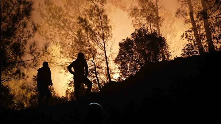 Muğla’daki Yangınlarda Son Durum: 218 Ev Boşaltıldı, 582 Kişi Tahliye Edildi