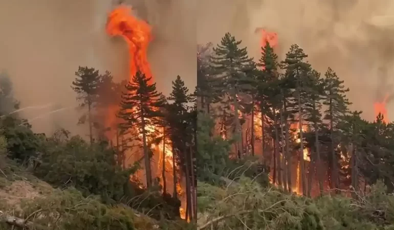 Denizli’deki Yangın Kontrolden Çıktı: Köyler Tehlike Altında