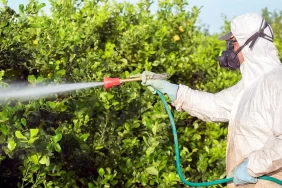 691d71a93a7b8293__w1200xh690