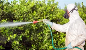 691d71a93a7b8293__w1200xh690