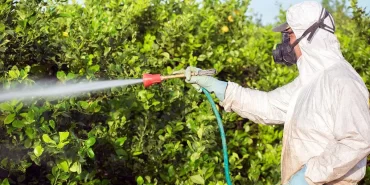 691d71a93a7b8293__w1200xh690